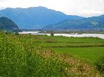 Agricultural land near the Nakdong River, Korea