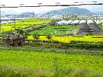 Agricultural land near the Nakdong River, Korea