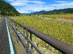 Estuary, Seomjin River Trail, Korea