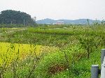 Hampyeong River Trail, Korea