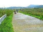 Hampyeong River Trail, Korea