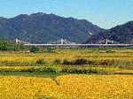 Hwy 10, Mokpo-Gwangyang Expressway Bridge, Yeongsan River Trail, Korea