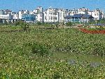 Mokpo Ogam Wetland Ecological Park, Yeongsan River Trail, Korea