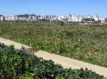 Mokpo Ogam Wetland Ecological Park, Yeongsan River Trail, Korea