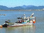 Fishing boat, Mokpo, Korea