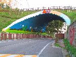 Tunnel mural, Hampyeong, Korea