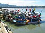 Fishing boat, Seoldohang Port, Bongnam-ri, Yeomsan-myeon, Korea