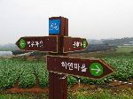 Bicycle way finding sign, Korea.