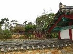 Yonan Yi Clan's archives, Ganggyeong, Korea