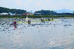 Lake Tangeum International Rowing Center, Chungju, Korea