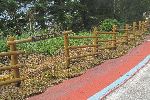 Saejae Eco Bike Path, Korea