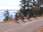 Whale watch road, San Juan Island