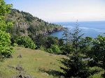 Whale watch road, San Juan Island