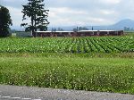 La Conner, Skagit Valley, farm worker housing