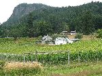 Salt Spring Island vineyard
