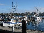 Fishing boats, Inner Harbor, Victoria