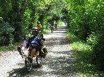 Lockside Trail, Victoria to Sydney