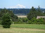 San Juan Island, view of farm land and Mt Baker