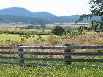 San Juan Island, view of farm land