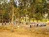martial arts training