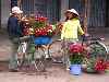 Tam Ky flower sellers
