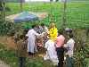 Buddhist monk performing a ritual at the edge of a farm