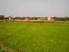 School in rice field