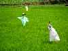 Vietnamese scarecrows