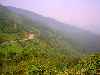 Road to Hai Van Pass