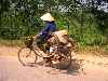 bicyclist carrying bike