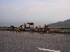 Goats taking the high ground, Hai Van Pass