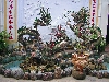 Dragon statue, Chinese Association, Hoi An
