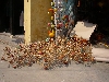 Lantern frames, Hoi An
