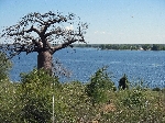 The Chobe River in flood, Ngoma Namibia