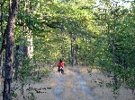 Road to Salambala Community Camp, Ngoma Namibia