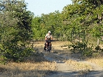 Road to Salambala Community Camp Site, Ngoma Namibia