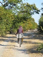 Man bicycling to buy fish, Salambala Namibia