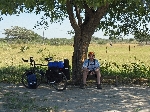 Relaxing under a well accessorized tree, Namibia