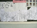 Village map, Sangwali Namibia