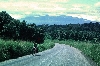 Kumba-Buea road: 