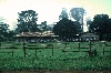 Loum-Kumba road: school