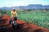 Ndop-Jakiri road: Upper Nun Valley