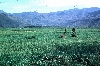 Ndop-Jakiri road: Upper Nun Valley