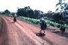 Ndop-Jakiri road: Upper Nun Valley