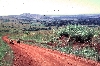 Ndop-Jakiri road: climbing the hill our of Babessi