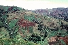 Ndop-Jakiri road: