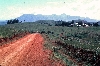 Ndop-Jakiri road: