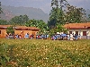 Ndop plains: Elementary School students line-up for morning assembly.