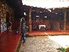 Babungo: statue in Fon's palace