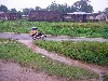 Kumba-Buea road: waiting out the rain
